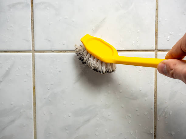 Best Mold Removal Near Me  in Hollymead, VA