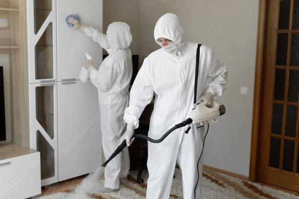 Home Mold Removal in Hollymead, VA