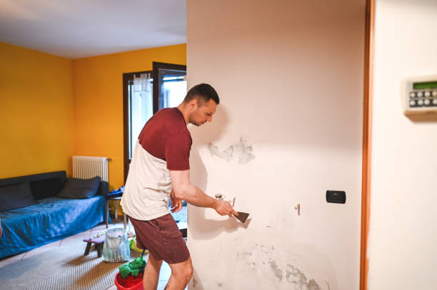 Best Best Mold Removal Companies  in Hollymead, VA